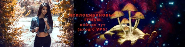 метадон Бородино