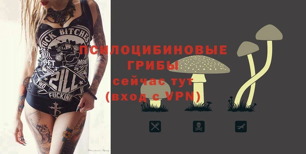 ГАЛЛЮЦИНОГЕННЫЕ ГРИБЫ Бронницы
